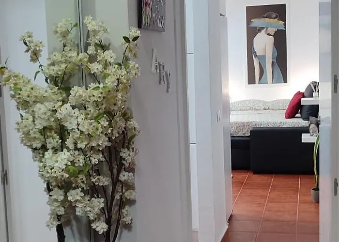 Apto Ary Apartamento La Jaca